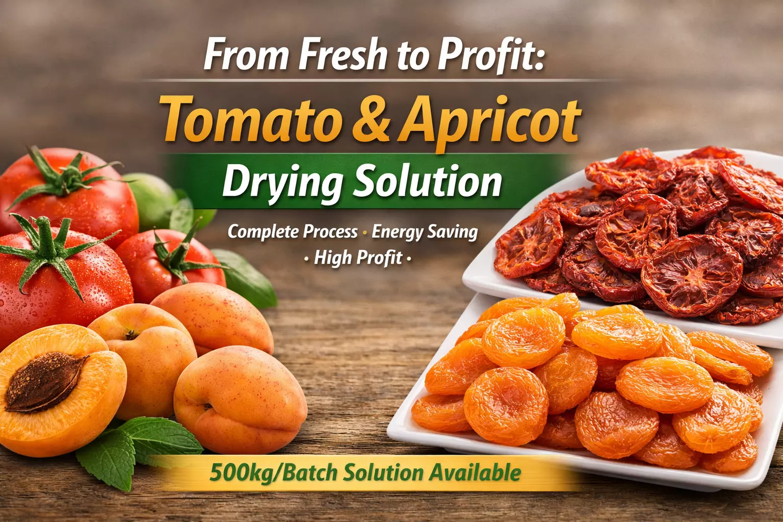 Complete Drying Solution for Tomatoes & Apricots: From Fresh Processing to Packaging (Step-by-Step Guide)