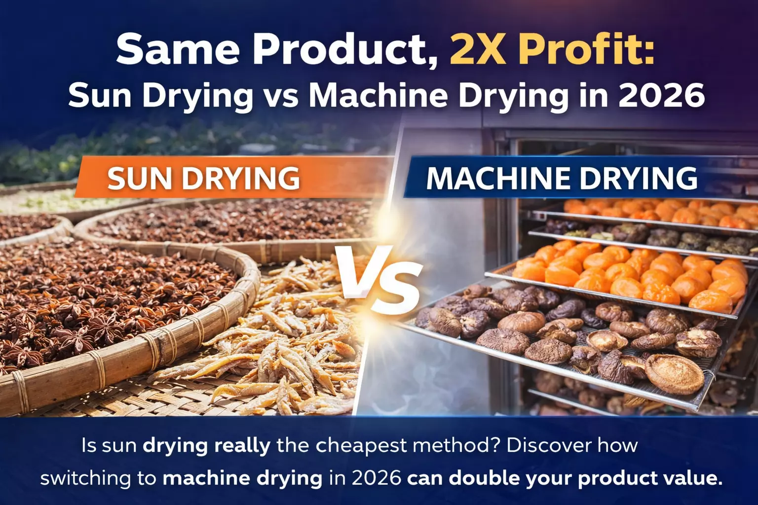 Same Product, 2X Profit: Sun Drying vs Machine Drying in 2026