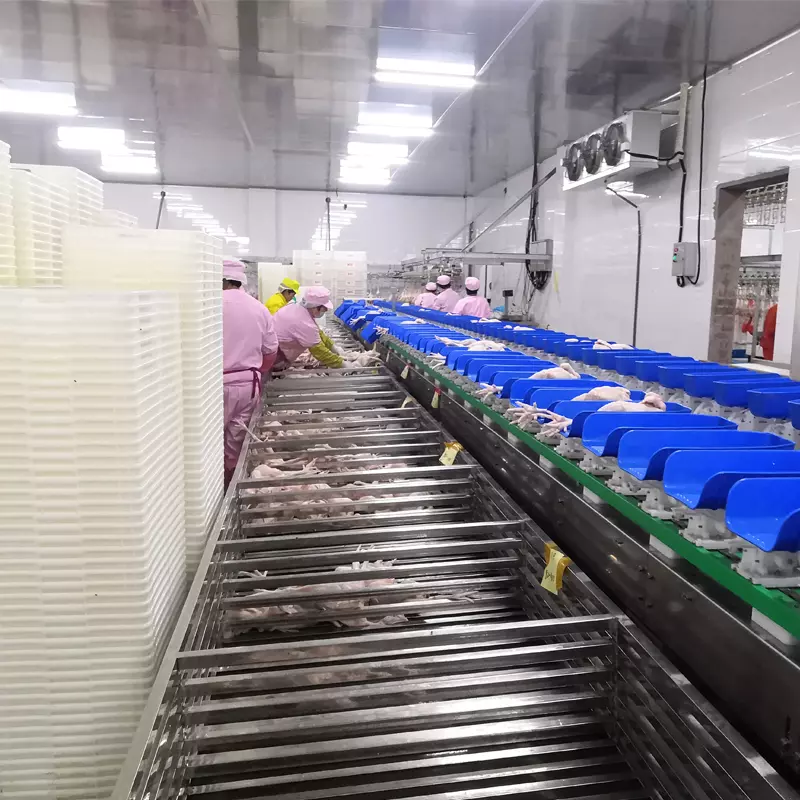 Chicken Slaughtering Equipment