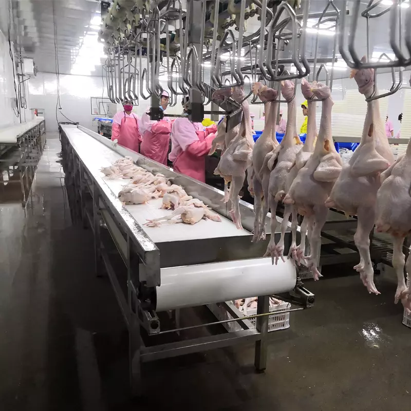 Chicken Slaughtering Equipment