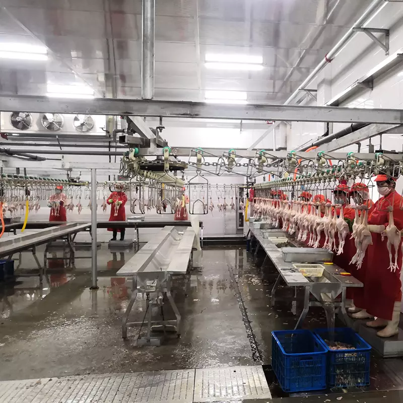 Chicken Slaughtering Equipment